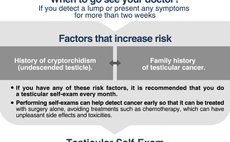  Testicular Cancer