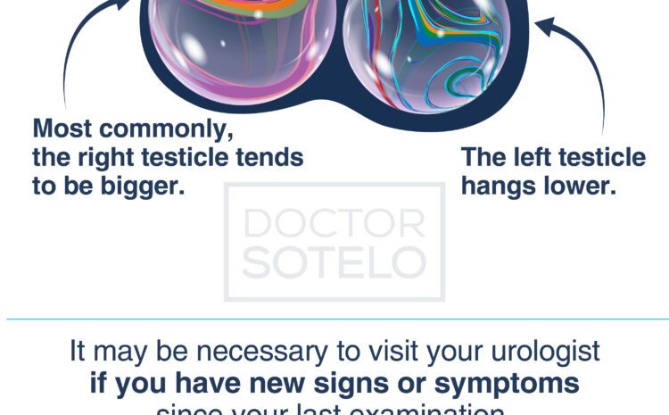  Testicular asymmetry