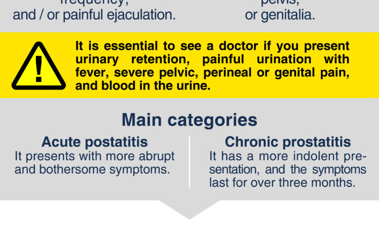  Prostatitis