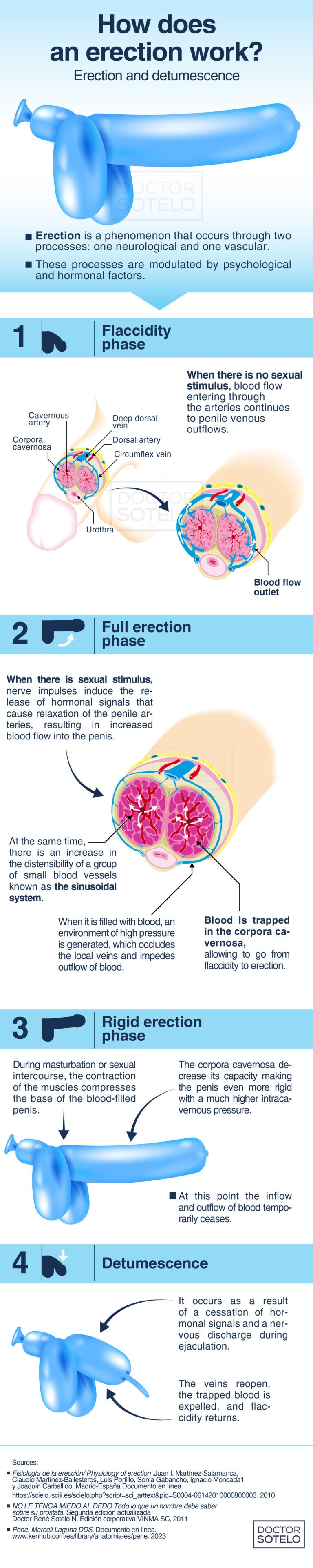 ERECTION PROCESS